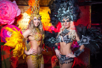 Картинка девушки -+группа+девушек golden girls ночной клуб модель