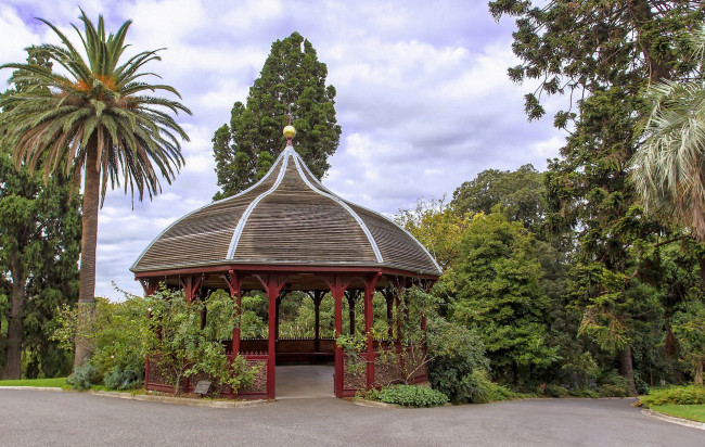 Обои картинки фото botanical gardens, melbourne, природа, парк, botanical, gardens