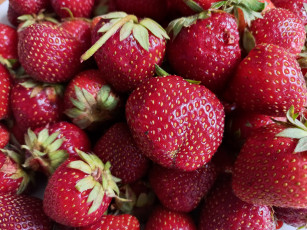 Картинка еда клубника +земляника свежая ягоды спелая