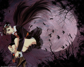 Картинка аниме kite