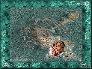 Картинка разное