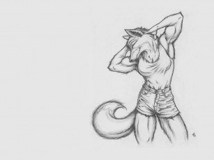 Картинка рисованные минимализм лиса