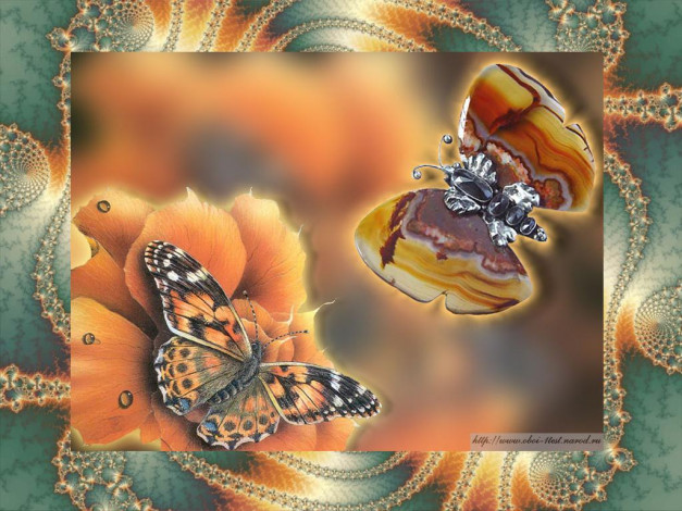 Обои картинки фото разное