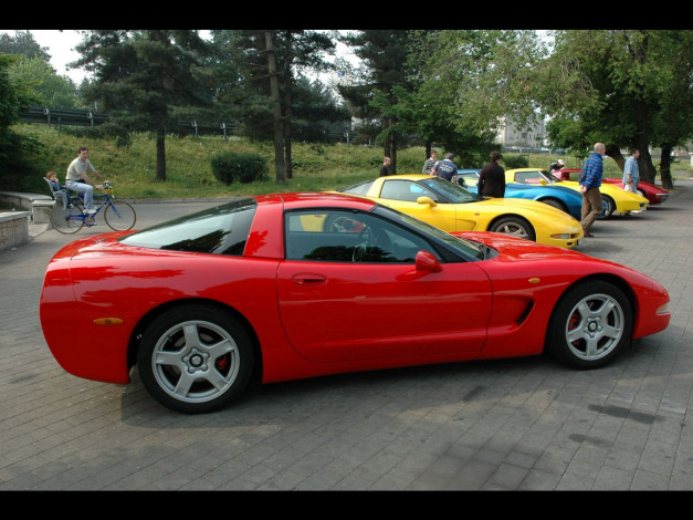 Обои картинки фото автомобили, выставки, уличные, фото