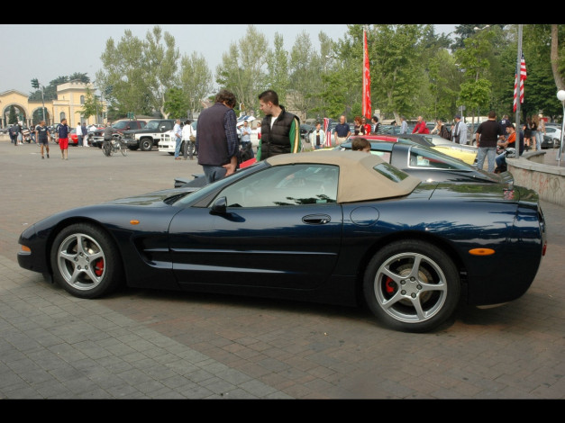 Обои картинки фото автомобили, выставки, уличные, фото