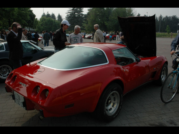 Обои картинки фото автомобили, выставки, уличные, фото