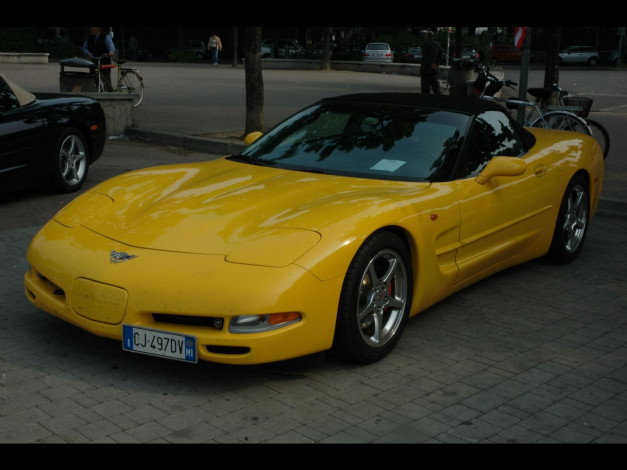 Обои картинки фото автомобили, выставки, уличные, фото