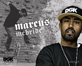 обоя бренды, reebok