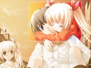 обоя аниме, clover, hearts