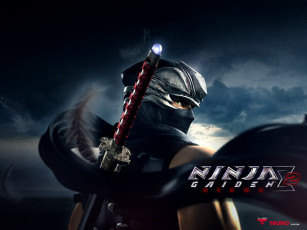 Картинка ninja gaiden sigma видео игры