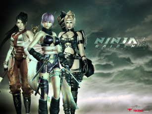 Картинка ninja gaiden sigma видео игры