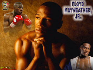 Картинка спорт бокс