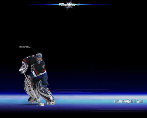 Обои картинки фото бренды, reebok