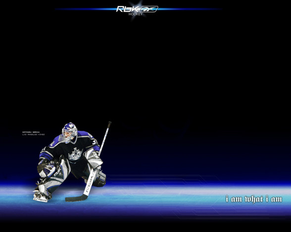 Обои картинки фото бренды, reebok