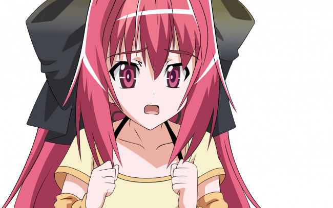 Обои картинки фото аниме, polyphonica