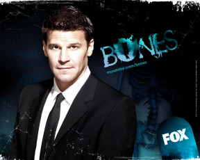 Картинка кино фильмы bones