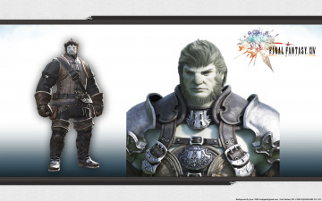 Картинка видео игры final fantasy xiv