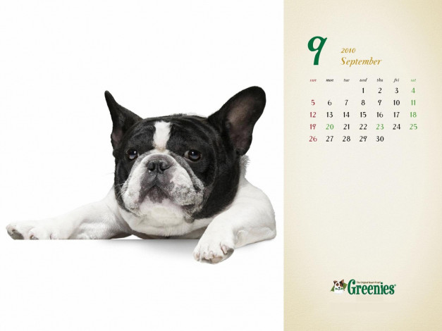 Обои картинки фото календари, животные