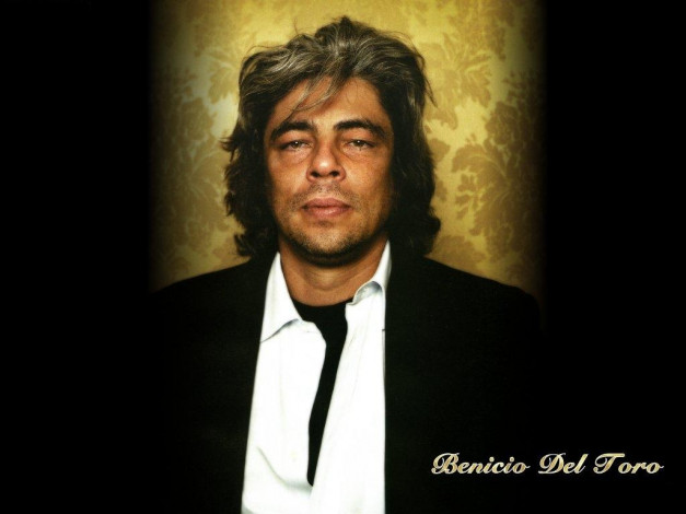 Обои картинки фото мужчины, benicio, del, toro