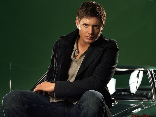 Обои картинки фото мужчины, jensen, ackles
