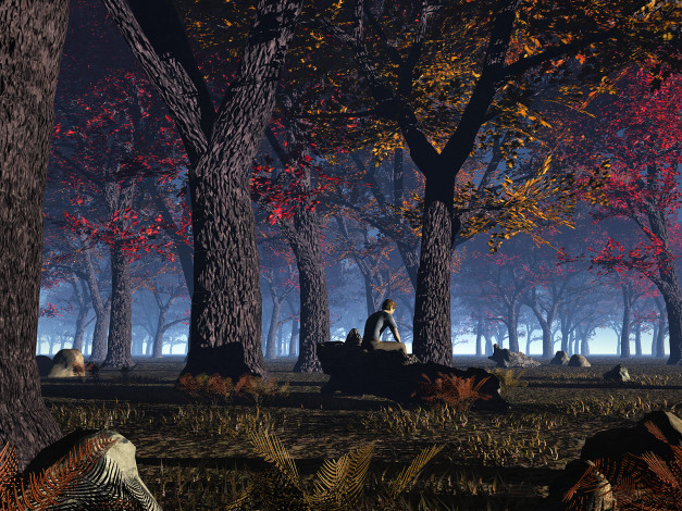 Обои картинки фото 3д, графика, nature, landscape, природа, лес, камни, мужчина