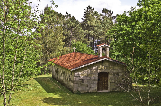 Обои картинки фото города, католические, соборы, костелы, аббатства, деревья