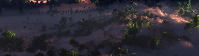 Обои картинки фото 3д, графика, nature, landscape, природа, леса, горы, туман