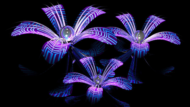 Обои картинки фото 3д, графика, flowers, цветы, фон, узор, цвета