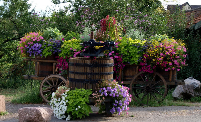 Обои картинки фото spring, цветы, разные, вместе, корзины, телега