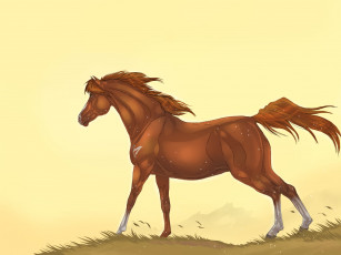 Картинка рисованные животные лошади лошадь