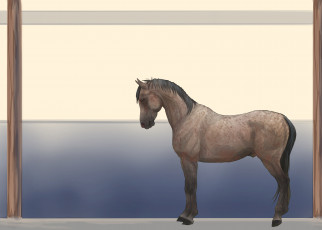 Картинка рисованные животные лошади лошадь