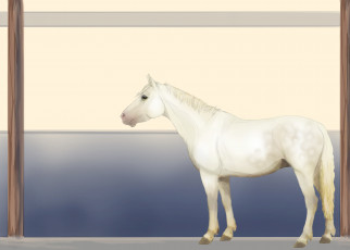 Картинка рисованные животные лошади лошадь