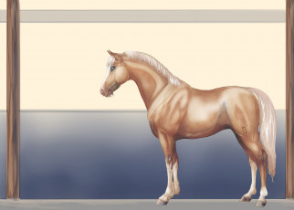 Картинка рисованные животные лошади лошадь