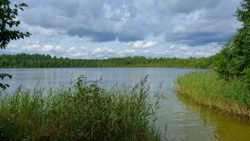 Картинка оз светлояр природа реки озера озеро лес облака