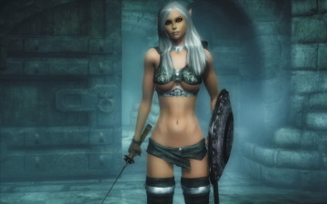 Картинка 3д графика elves эльфы щит эльфийка меч