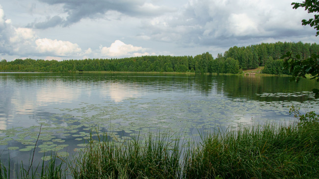 Обои картинки фото оз, светлояр, природа, реки, озера, озеро, берег, лес, облака