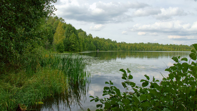 Обои картинки фото оз, светлояр, природа, реки, озера, озеро, берег, лес, облака
