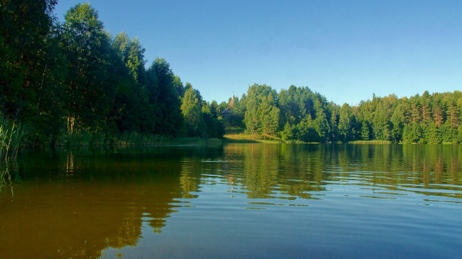 Обои картинки фото оз, светлояр, природа, реки, озера, озеро, вода, лес, небо, церковь