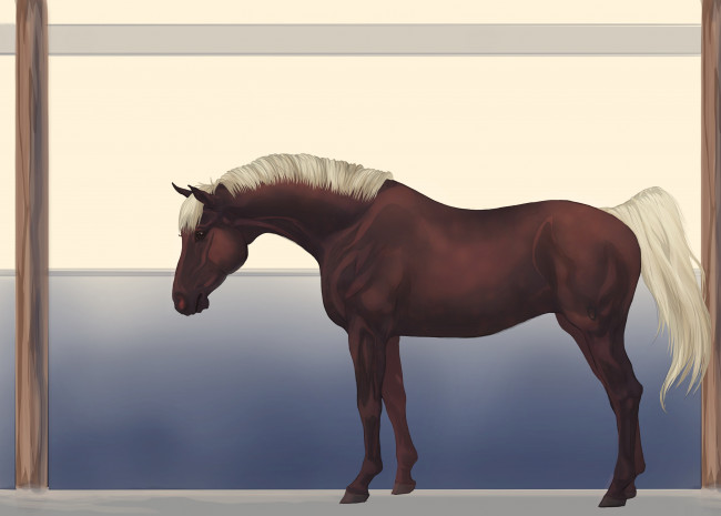Обои картинки фото рисованные, животные, лошади, лошадь