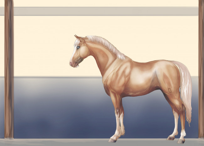 Обои картинки фото рисованные, животные, лошади, лошадь