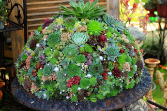 Картинка цветы горка разные