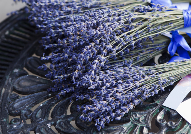 Обои картинки фото цветы, лаванда, много, банты, букеты, пучки