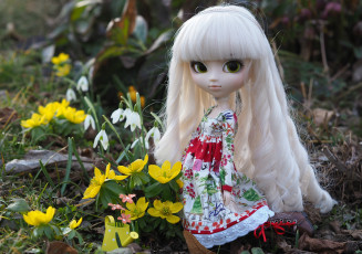 Картинка разное игрушки кукла волосы локоны цветы игрушка платье подснежники