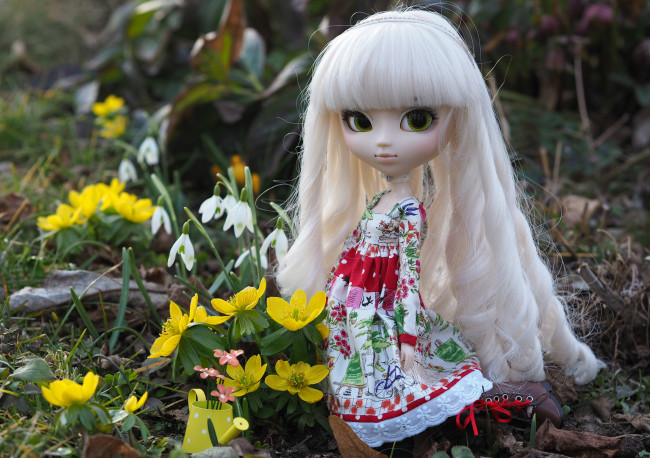 Обои картинки фото разное, игрушки, кукла, волосы, локоны, цветы, игрушка, платье, подснежники