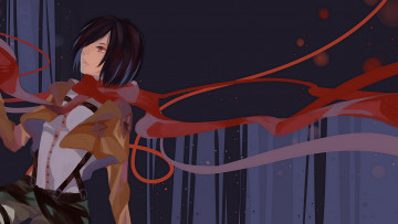 Картинка аниме shingeki+no+kyojin микаса