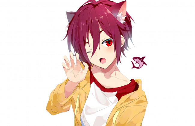 Обои картинки фото аниме, free, rin, matsuoka