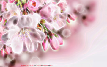 Картинка календари компьютерный+дизайн цаеты