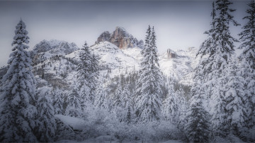 Картинка природа горы простор