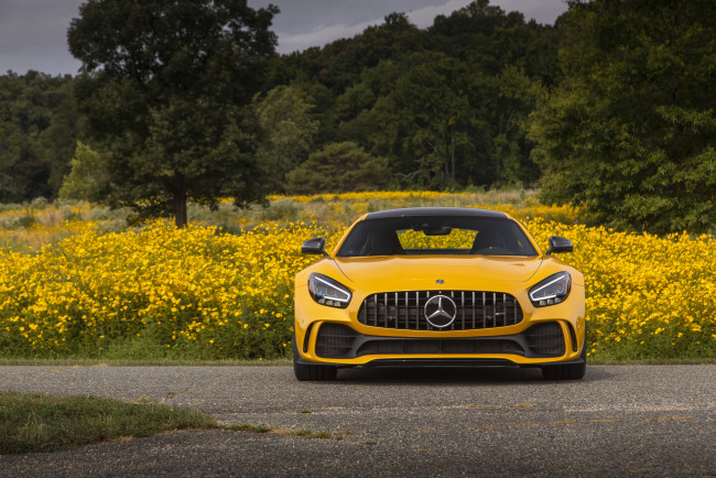 Обои картинки фото 2020 mercedes amg gt r, автомобили, mercedes-benz, мерседес, amg, вид, спереди, r, gt, 2020, mercedes