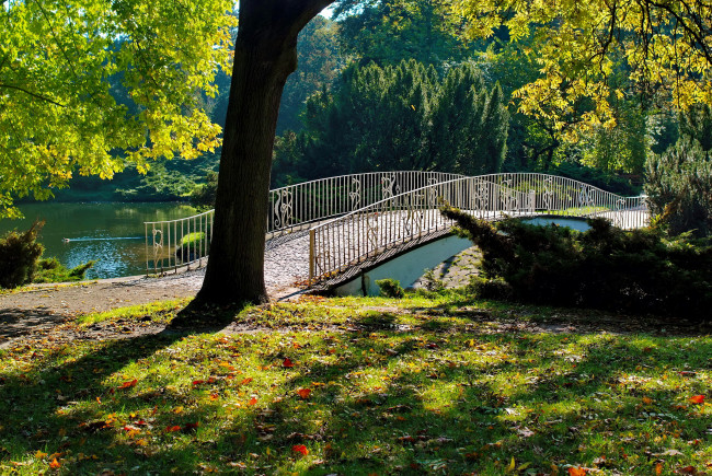 Обои картинки фото природа, парк, водоем, мостик